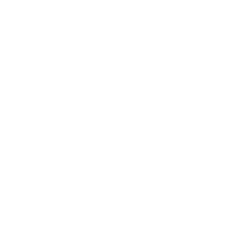 White Analytics Icon