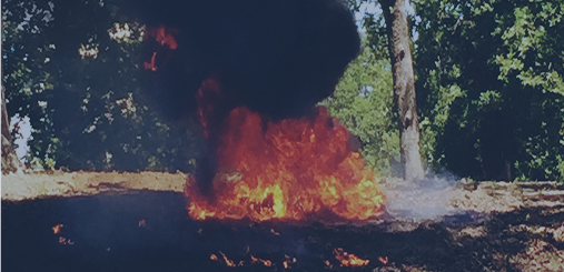 Fire against trees in a forest